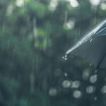 Staying Grounded in the Storm: Four Skills for Working with Challenging Emotions