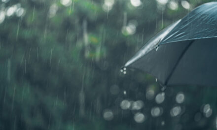 Staying Grounded in the Storm: Four Skills for Working with Challenging Emotions