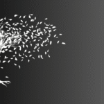 Acknowledging Grief and Loss