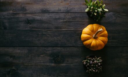 Honoring Truth, Sharing Abundance: A Call to Support Food Banks