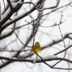 Your DBA | December 2025